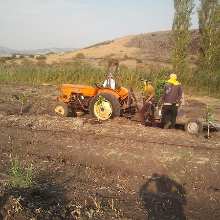 Nuriel Fruit & Guest House Sheʼar Yashuv Esterno foto